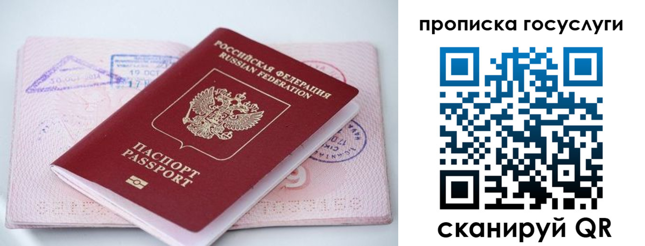 прописка законно в Светлом
